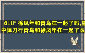 💮 徐凤年和青鸟在一起了吗,雪中悍刀行青鸟和徐凤年在一起了么